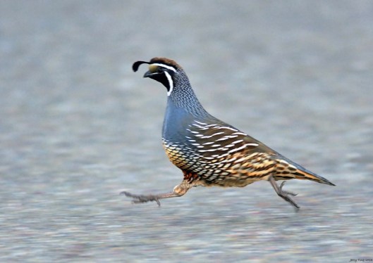 68640676-2FA9-4D03-9456-606EDD4B1BE1