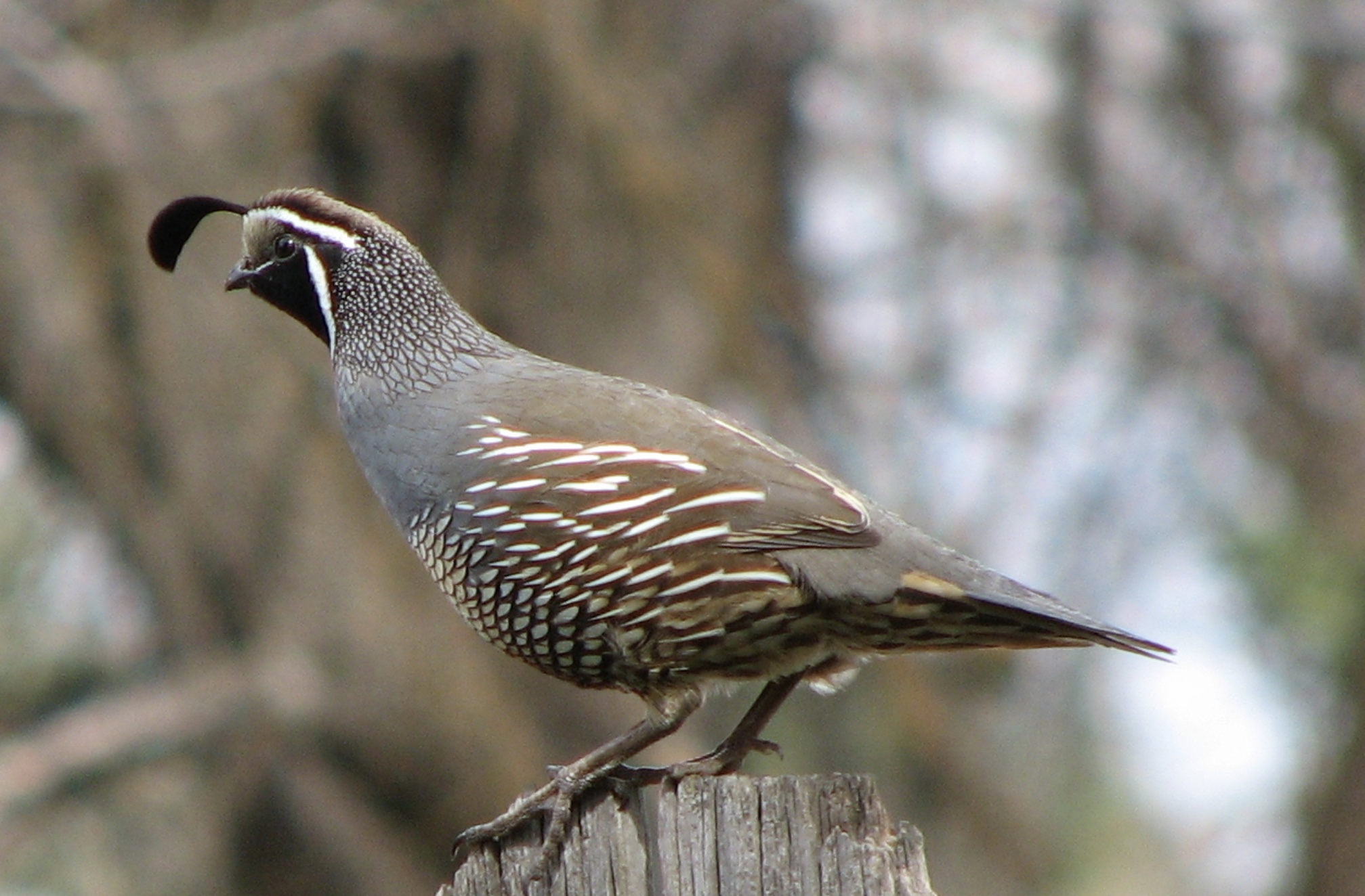 68D2DC02-2D19-4277-A10F-526E329E3BFD