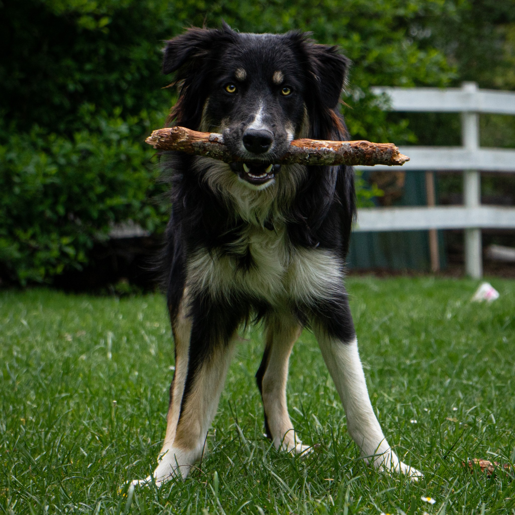 A41F541B-9D97-455E-A22E-1C9D0ABA8FE8