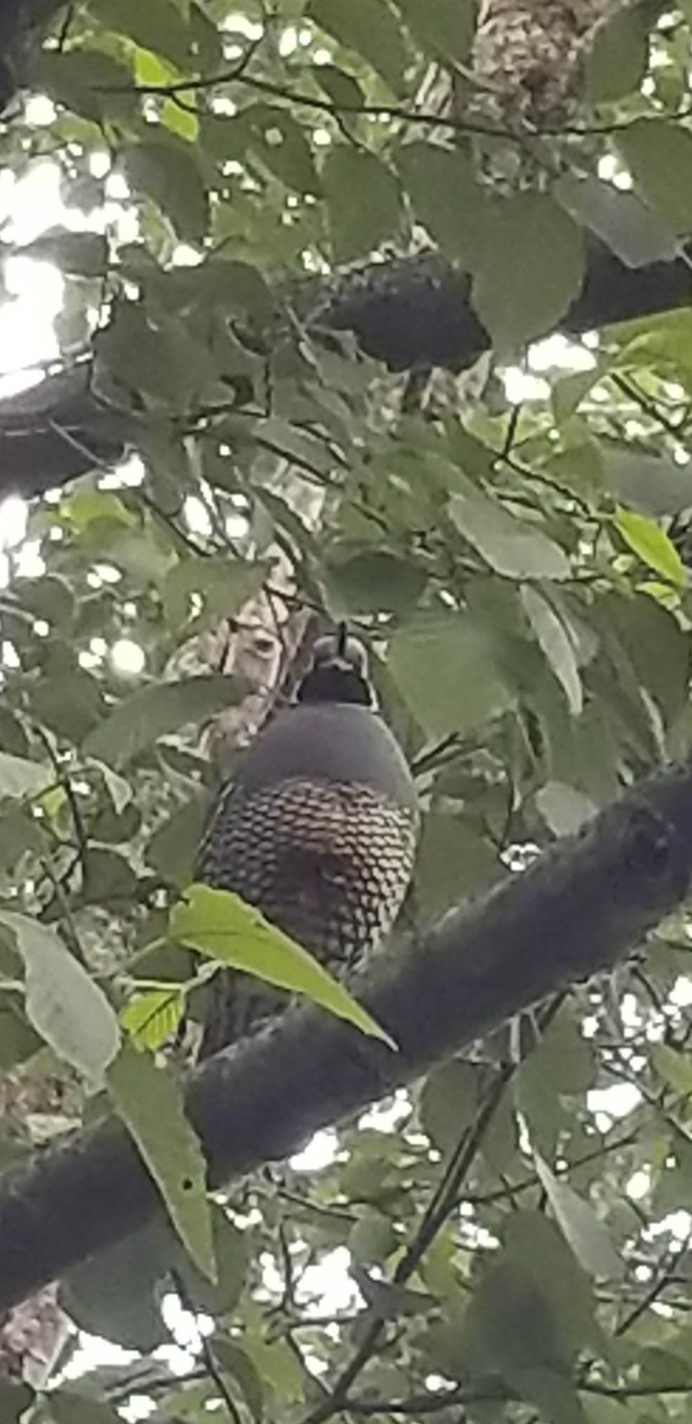 AB7F3962-6314-41BD-AE07-E6ECEFD3BD02