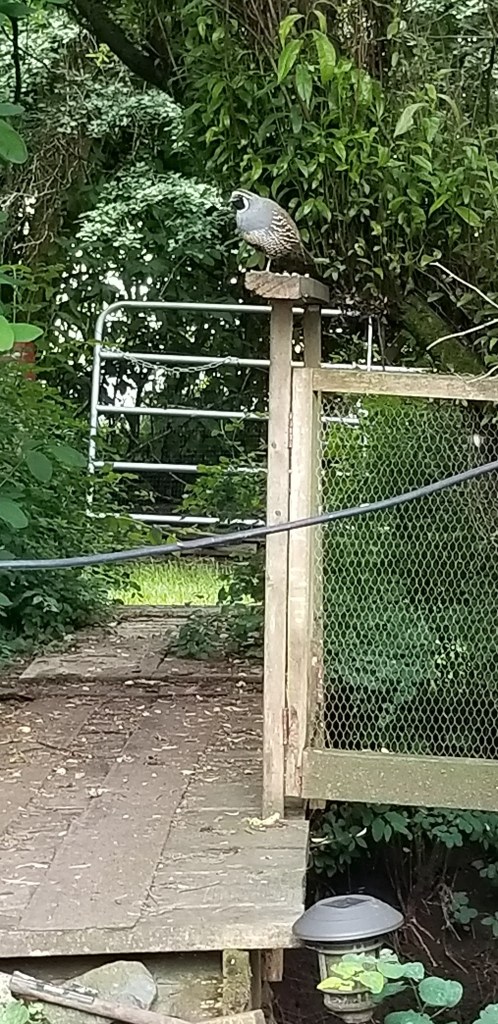 D8018393-F6D5-4B55-A1D7-D22C8B2DDCB7