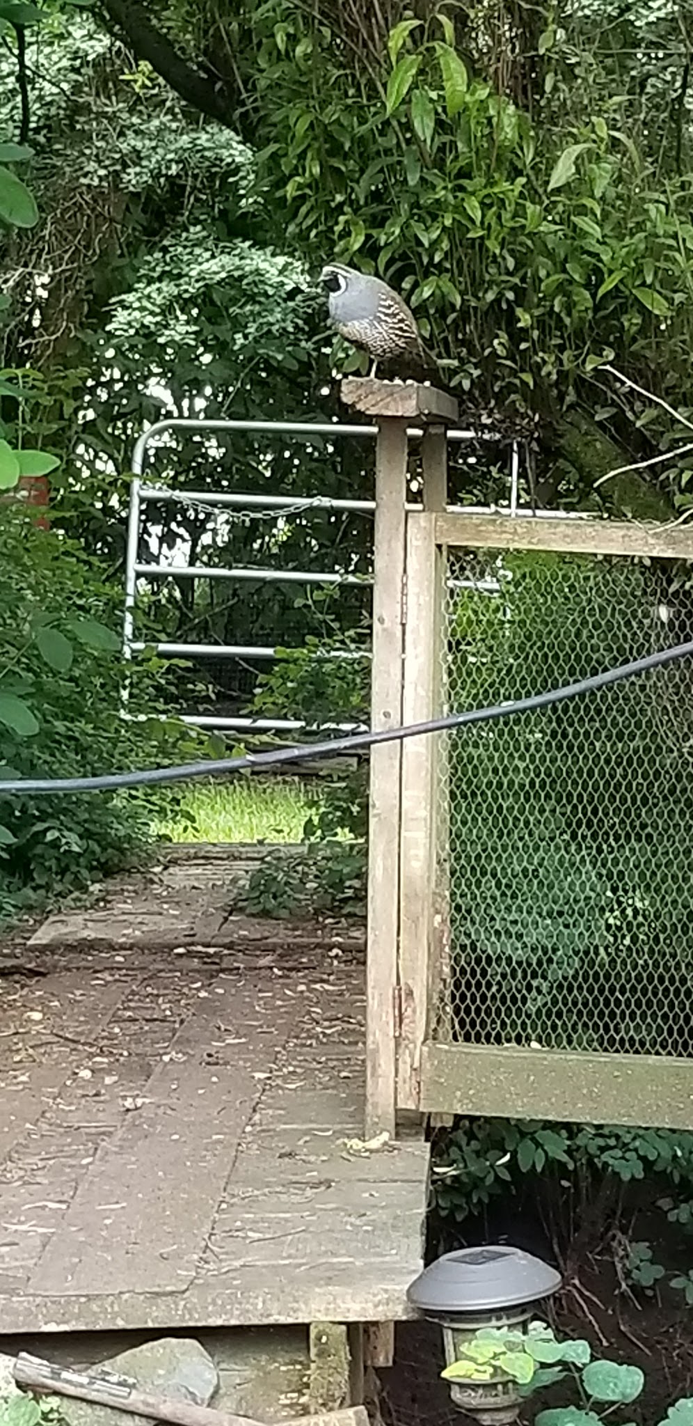 D8018393-F6D5-4B55-A1D7-D22C8B2DDCB7