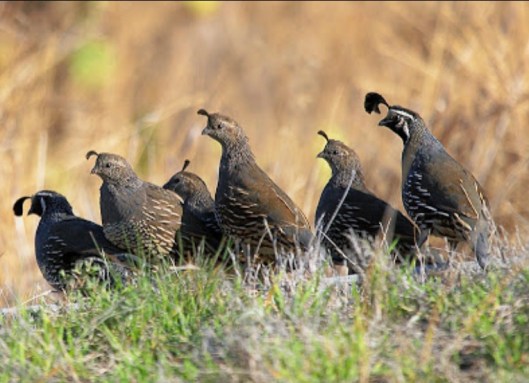 E0F83B8B-D6EF-4527-BA00-A978804C0135