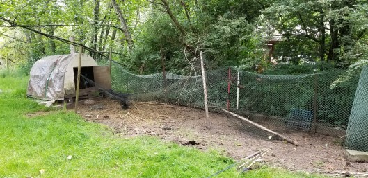 568F91E9-D1BD-40D1-B4C0-7A0FAFC77021